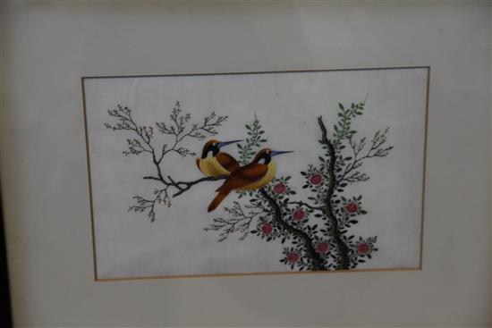 A set of five Chinese pith paintings of birds, c.1900, 20 x 32cm, later mounted and framed